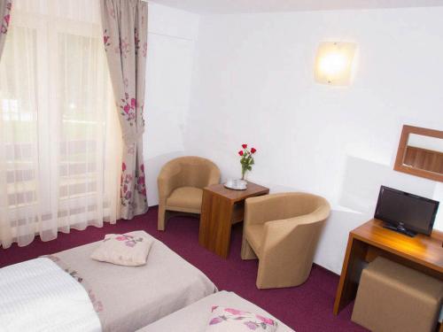 Hotel Domnitei - 518