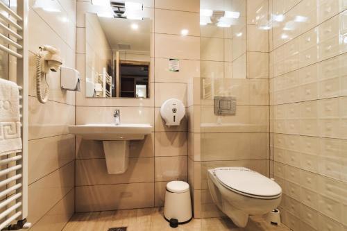 Hotel Domnitei - 717