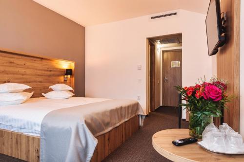 Hotel Domnitei - 390