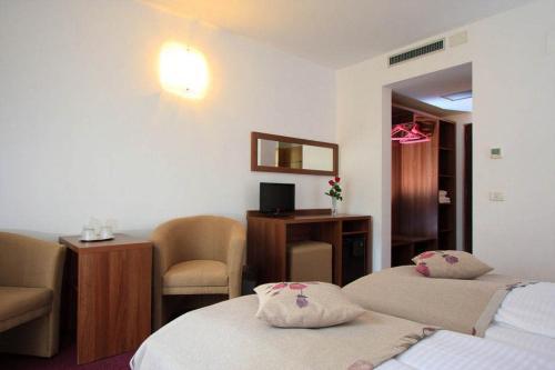 Hotel Domnitei - 635