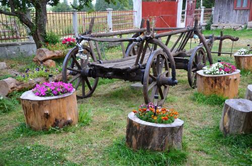 Pension Doru - 442
