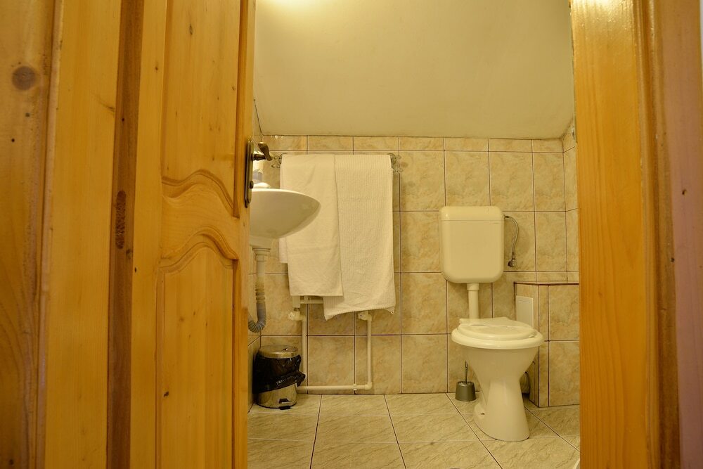 Pension Elisabeta - 490
