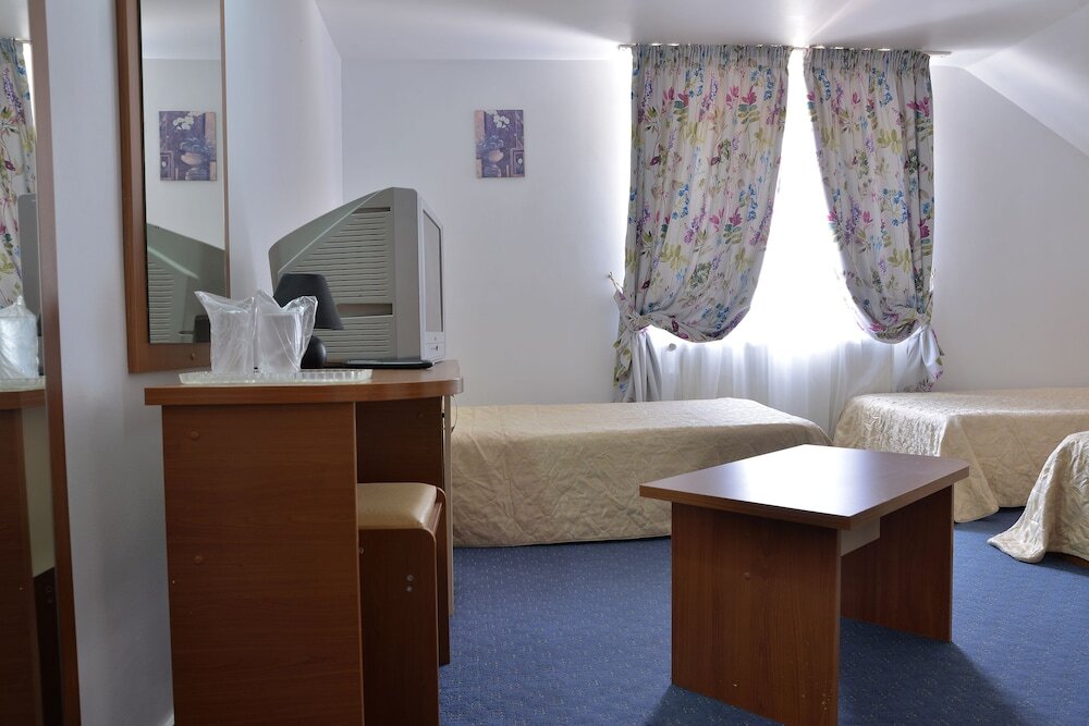 Pension Elisabeta - 316
