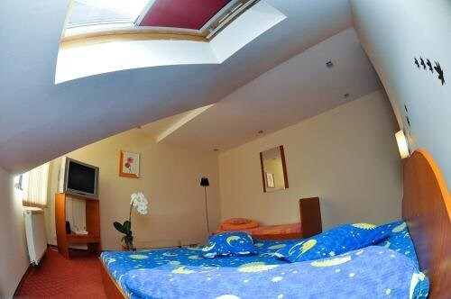 Pension Florica - 548