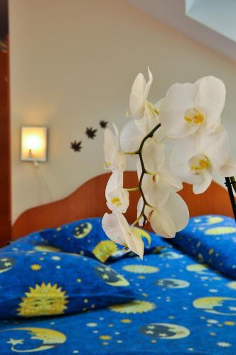Pension Florica - 77