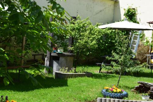 Pension GreenHouse - 290