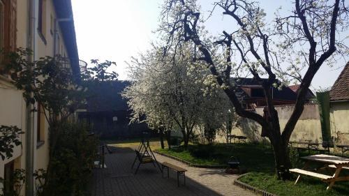 Pension GreenHouse - 116