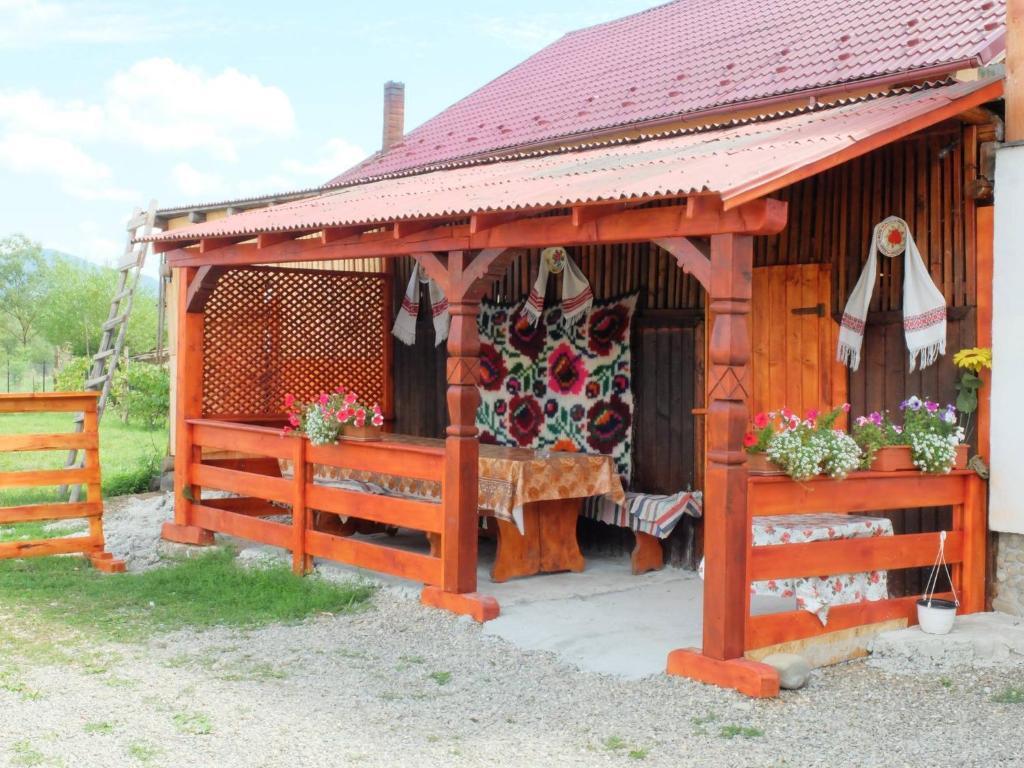 Pension Ioana Lavita - 361