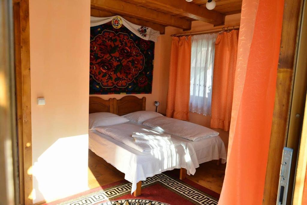 Pension Ioana Lavita - 485