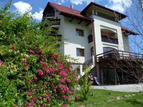 Pension Irina - 614