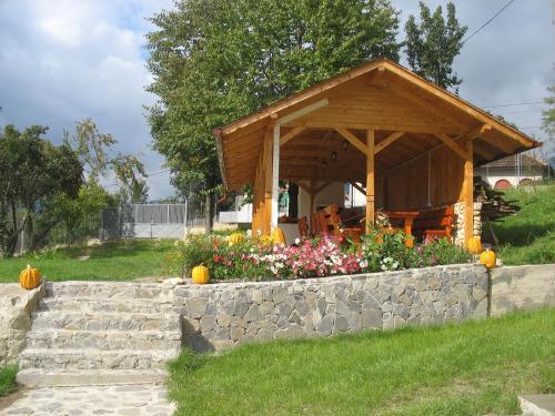 Pension Irina - 698