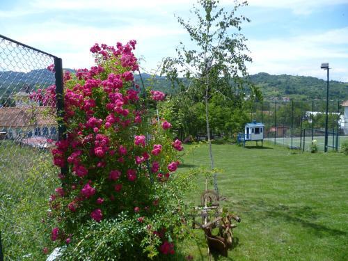 Pension Irina - 243