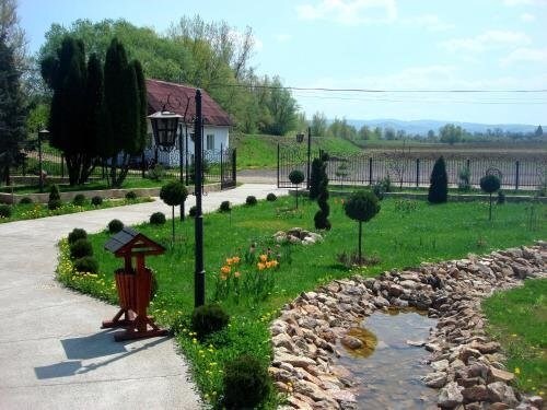 Pension La Taticu - 479