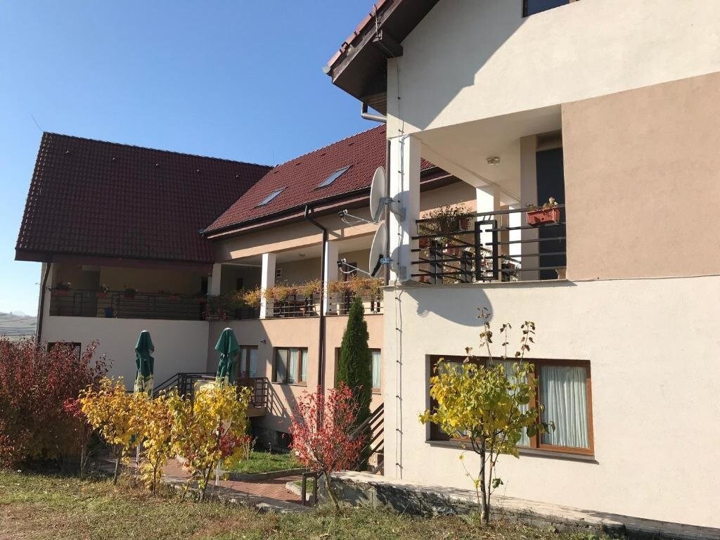 Pension Laura Cheile Turzii - 853