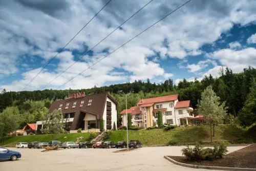 Pension Lidana Bucovina - 875