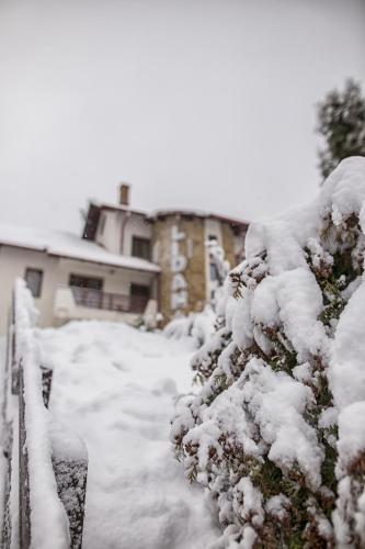Pension Lidana Bucovina - 530