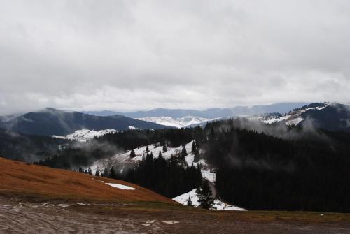 Pension Lucia Bucovina - 771
