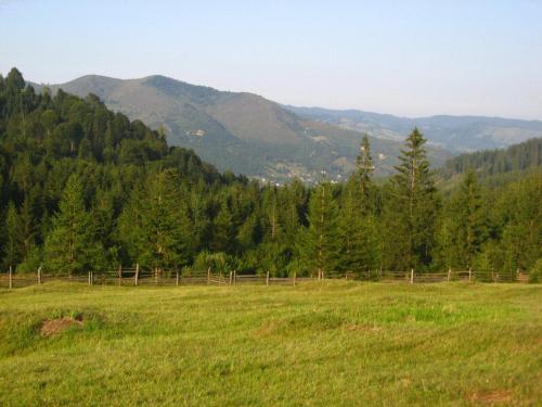 Pension Lucia Bucovina - 923
