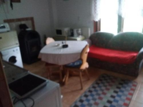 Pension Lucia Bucovina - 732