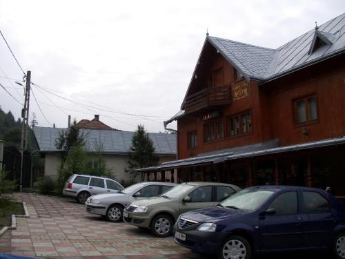 Pension Lucia Bucovina - 219