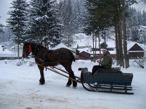 Pension Lucia Bucovina - 466