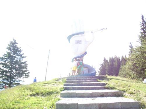 Pension Lucia Bucovina - 313
