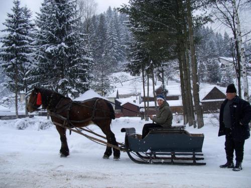 Pension Lucia Bucovina - 605