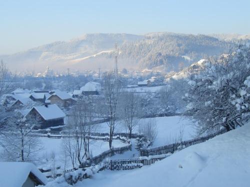 Pension Lucia Bucovina - 8