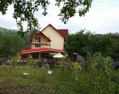 Pension Nicoleta - 424