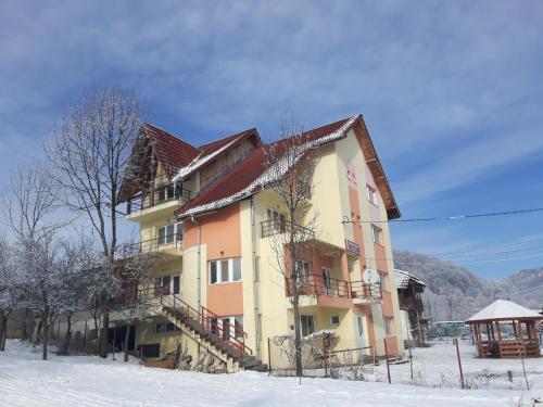 Pension Nicoleta - 991
