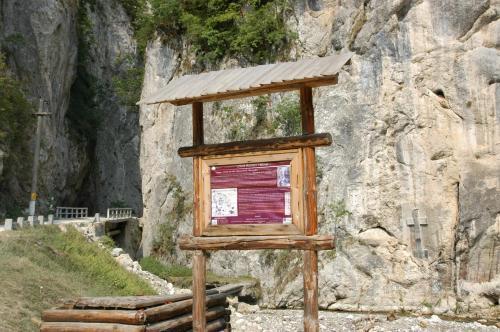 Pension Nicoleta - 210