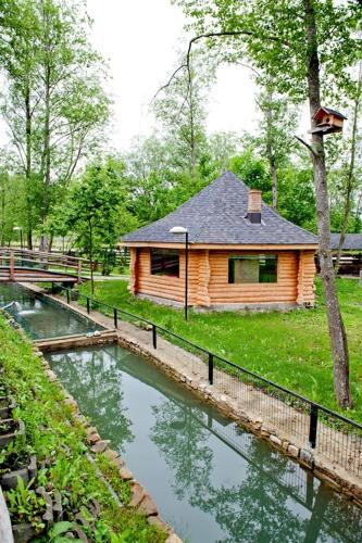 Pension Pîrîu' Morii - 3