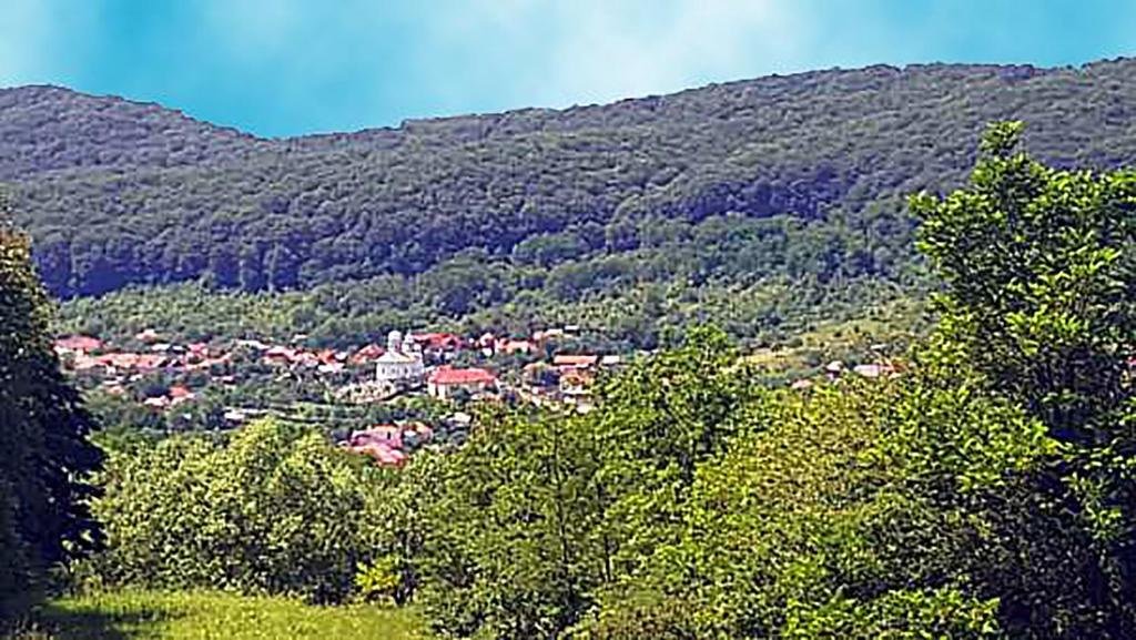 Pensiunea Agroturistica Piscul Soarelui - 234