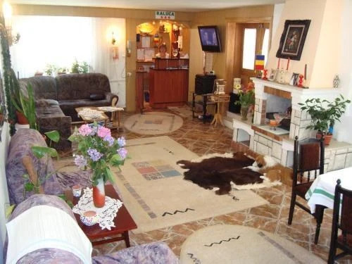 Pension Raluca - 595