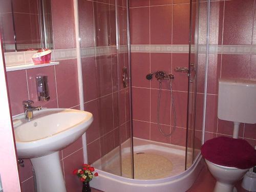 Pension Raluca - 511
