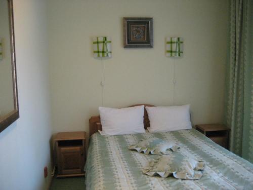 Pension Raluca - 384