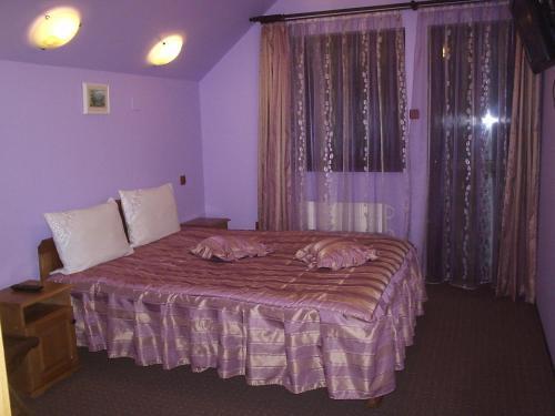 Pension Raluca - 216