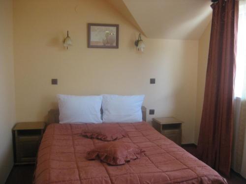 Pension Raluca - 283