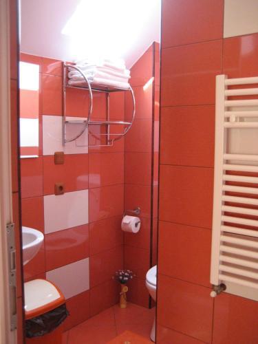Pension Raluca - 476