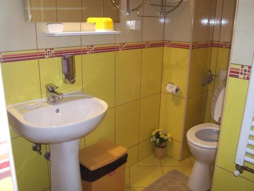 Pension Raluca - 219