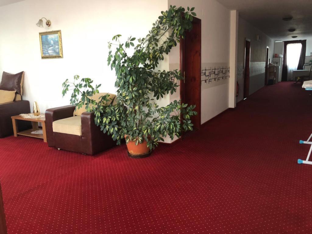 Pensiunea Rozeclas - 212