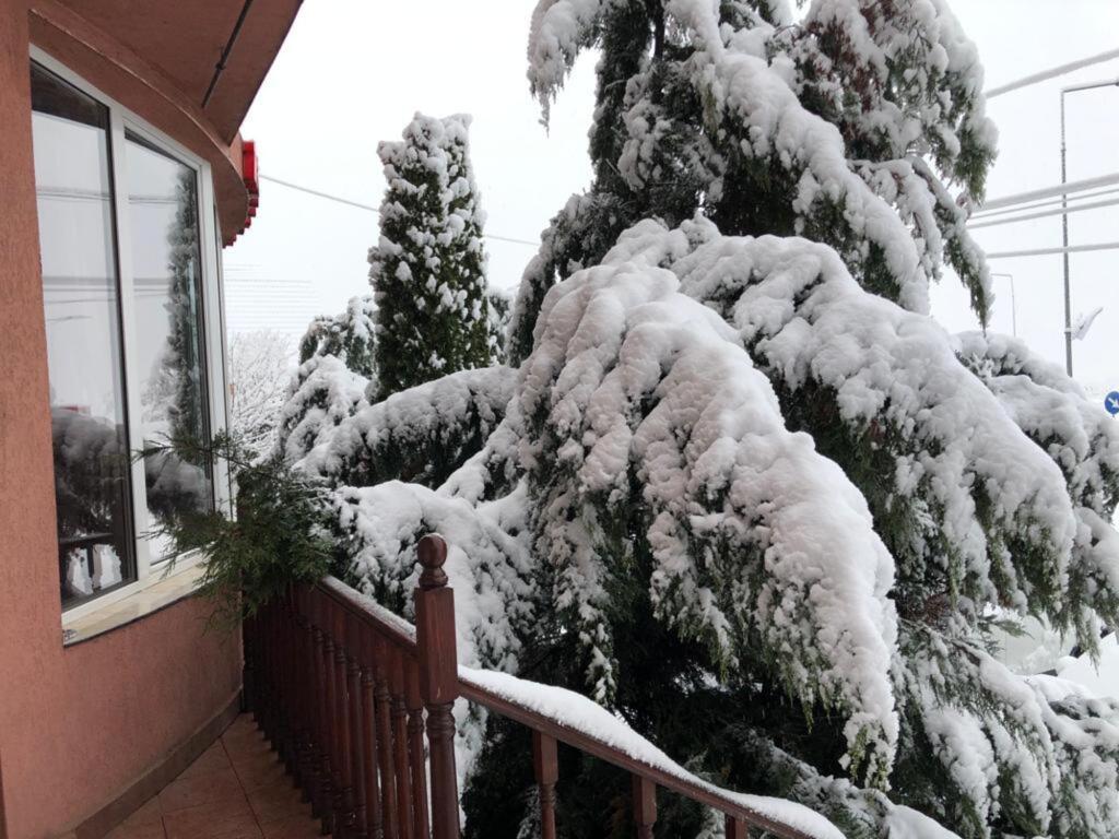 Pensiunea Rozeclas - 39