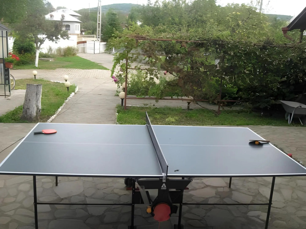 Pension Sf Nicolae - 503