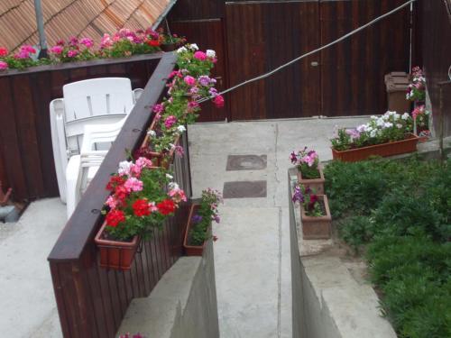 Pension Sighisoara - 274
