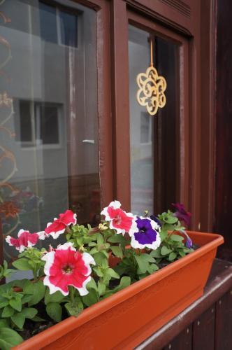 Pension Sighisoara - 589