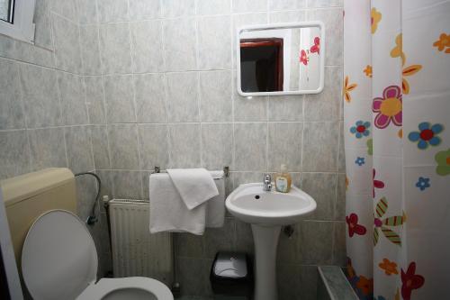 Pension Sinaia - Casa Ta - 690