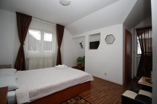 Pension Sinaia - Casa Ta - 874