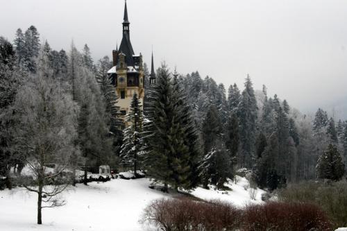 Pension Sinaia - Casa Ta - 227