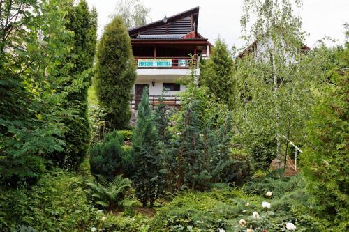 Pension Stejeris - 893