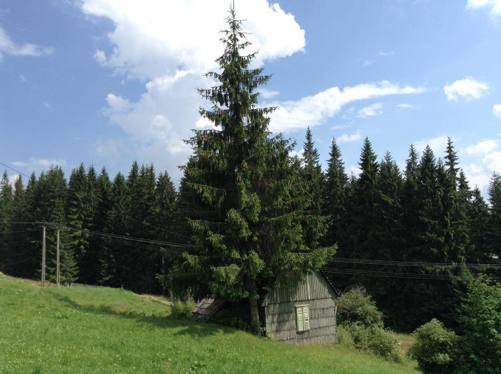 Pension Tofalvi - 948
